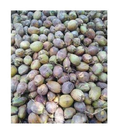 ए ग्रेड 99.99% शुद्ध ताजा आम खेती साबुत परिपक्व हरा नारियल