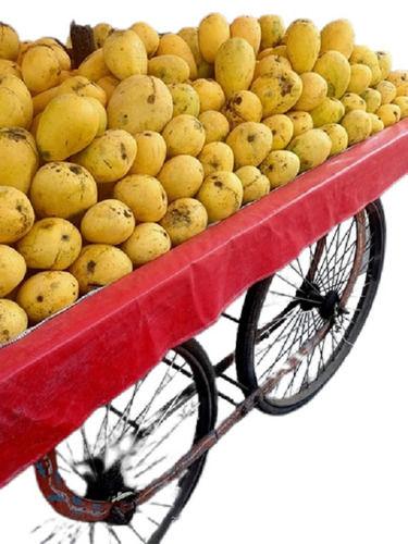 A Grade 99.9% Pure Fresh Indian Origin Common Cultivated Sweet Mango