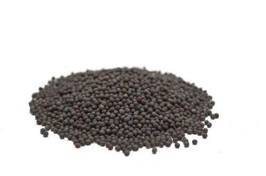 Aromatic Sortex Cleaned Black Mustard Seeds Purity: 99