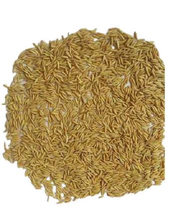 A Grade Common Cultivated Indian Origin 99.9 Percent Purity Edible Paddy Seed