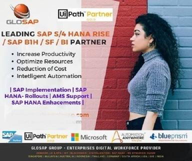 SAP RISE and SAP S/4HANA License and Support ERP Software Services