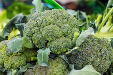 Fresh Broccoli Moisture (%): 86.36%