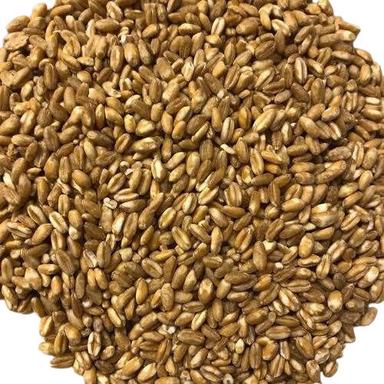 100% Pure Brown Wheat  
