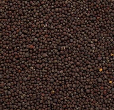 Black Mustard Seeds Admixture (%): 1%