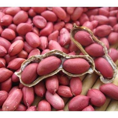 Indian Origin Top Grade High-Nutrition Large Quantity Red Skin Peanuts