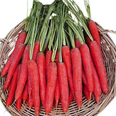 A Grade Indian Origin Commonly Cultivated 100 Percent Purity Fresh Red Carrots