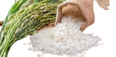 Long Grain High In Protein Premium Non Basmati Rice