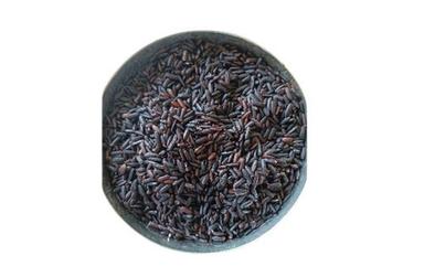Healthy And Nutritious Black Rice