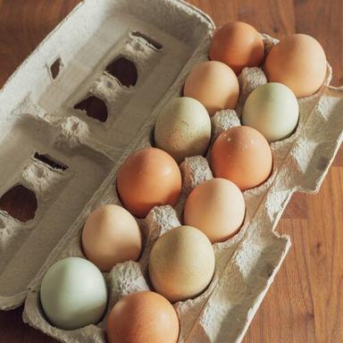 High Nutritious Fresh Eggs