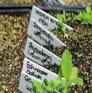 White Rectangular Plant Label For Nursery