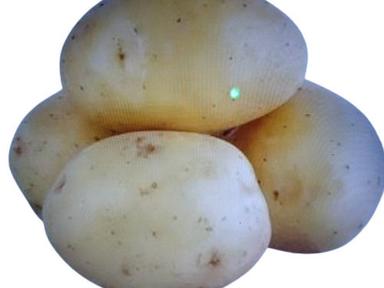 A Grade Natural Fresh Potato 