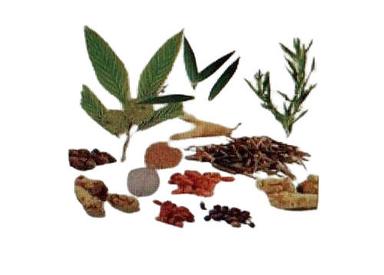 Pure Ayurvedic Herbal Medicines                                                                                       