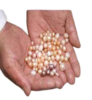 A Grade Light Weighted Round Shape Solid Natural Imitation Pearl for Jewelry