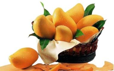 Rich In Taste Fresh Mango Fruit