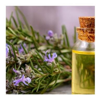 A Grade Chemical Free 100 Percent Purity Liquid Form Non-Edible Rosemary Essential Oil