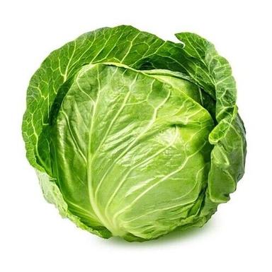100% Natural And Pure Organic Natural Fresh Cabbage