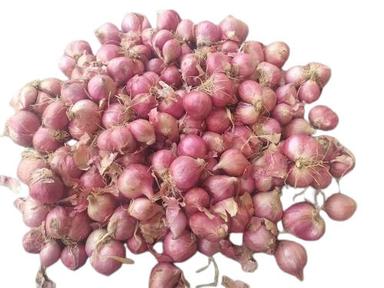Pure Natural Fresh Onion