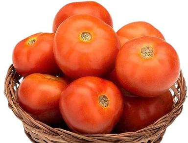 100% Pure Natural Fresh Tomatoes