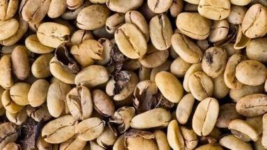 Organic Premium Green Coffee Beans Extract