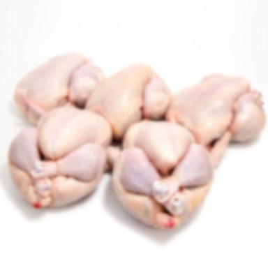 Washed and Clean Skinless Whole Frozen Chicken