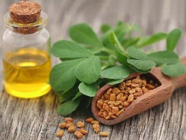 100% Natural and Pure Fenugreek Essential Oil