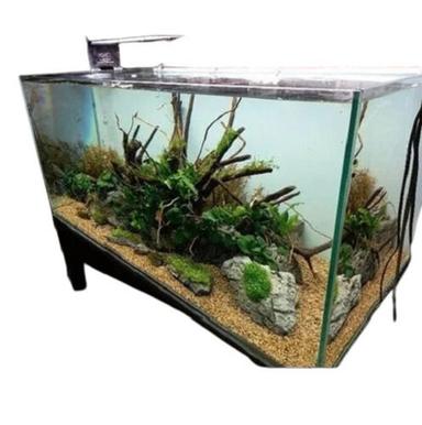 Modern Design Fish Aquarium