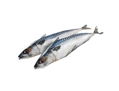 Fresh Fish - Product Type: 1