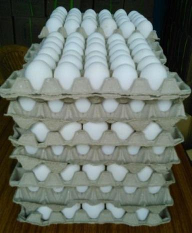 Poultry Eggs