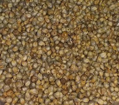 100% Unadulterated Green Millet Admixture (%): 3