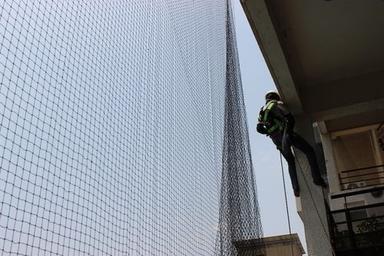 Anti Bird Pigeon Net