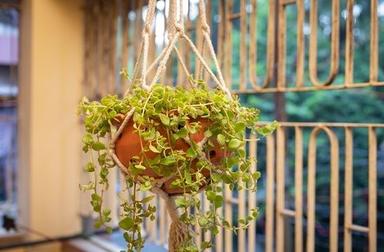 Balcony Hanging Terracotta Orchid Planter Pot