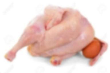 Breast Chicken