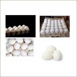 White Shell Eggs Size: 500-3000 Ml