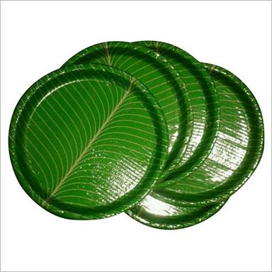Green Disposable Paper Plate