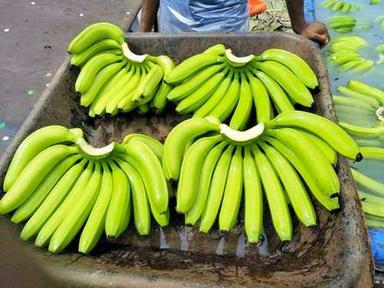 Fresh Raw Green Banana Origin: Indian