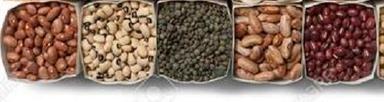 Common Indian Origin Kidney Beans