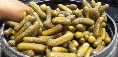 Gherkins With High Nutritional Values Ingredients: As Per Specification