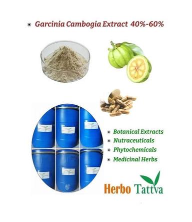 Garcinia Cambogia Extract Powder 40%-60% With 24 Months Of Shelf Life Grade: A
