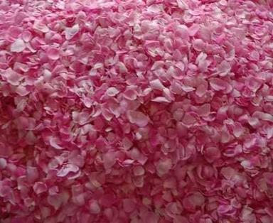 Good Fragrance 100% Natural Dry Rose Petals Pink Shelf Life: 12 Months