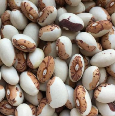 10 Gram Commonly Cultivated Pure And Natural Bean Seeds For Agriculture  Admixture (%): 5%