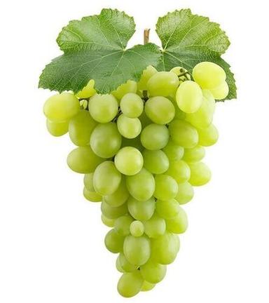 Common Fresh Hygienic Natural Organically Grown Green Seedless Fresh Grapes
