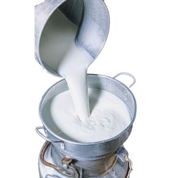  शुद्ध और ताजा प्रोटीन से भरपूर स्वस्थ भैंस का दूध आयु समूह: वयस्क 