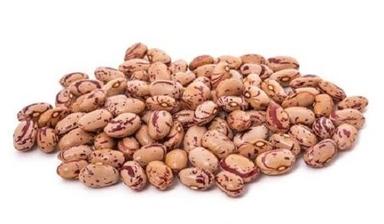 Kidney Beans, 1.2 Inch Size, Pack Of 25 Kilogram, With 1 Year Shelf Life Broken Ratio (%): 2%