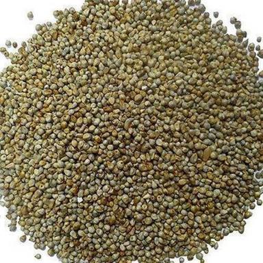 Green Rich In Protein Gluten Free Hybrid Bajra Seeds, Pack Size: 1 Kg