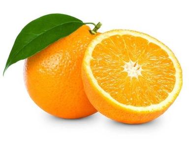 Common 100% Natural Healthy Tasty And Juicy Fresh Orange