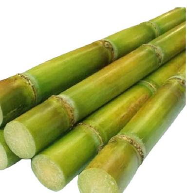 Silver Natural Pure And Sweet Commonly Cultivated Raw Sugarcane