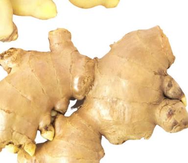 Silver Commonly Cultivated Seasoned Fresh Raw Ginger With 1 Month Shelf Life