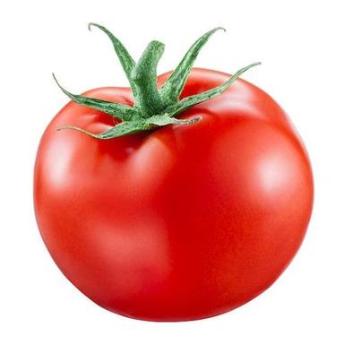 Round Fresh Hybrid Indian Red Tomato