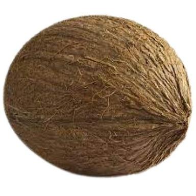  सामान्य भूरा गोल आकार मध्यम आकार का परिपक्व ताजा नारियल 