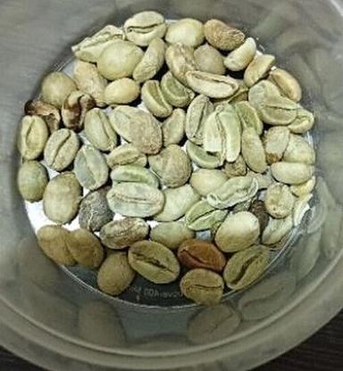 Common Arabica Green Coffee Beans